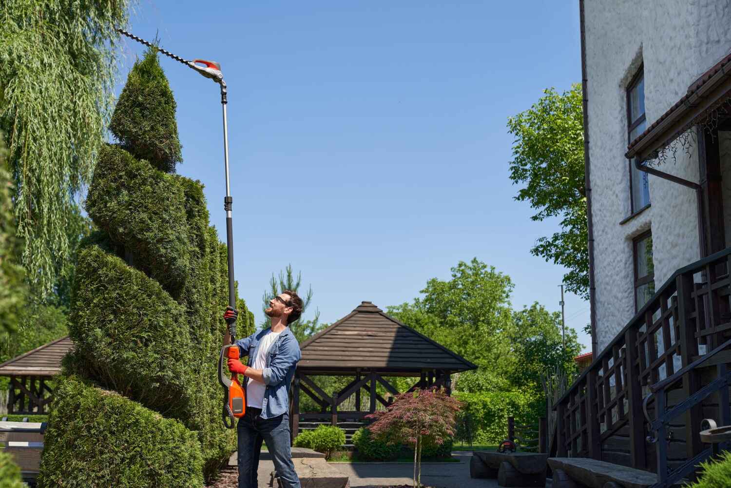 Tree Branch Trimming in Northdale, FL